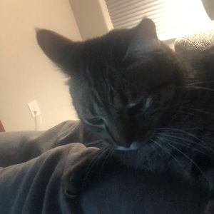 Meet your Posher, Kristin